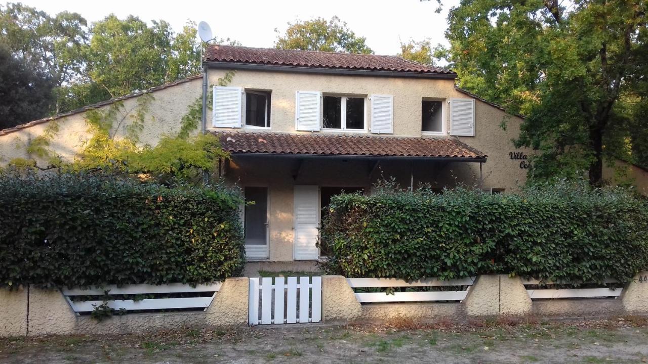 Appartement Soulac Sur Mer A 500 M De La Plage N 5 Exterior foto