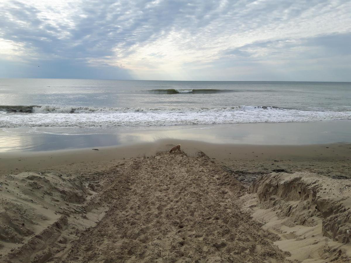 Appartement Soulac Sur Mer A 500 M De La Plage N 5 Exterior foto